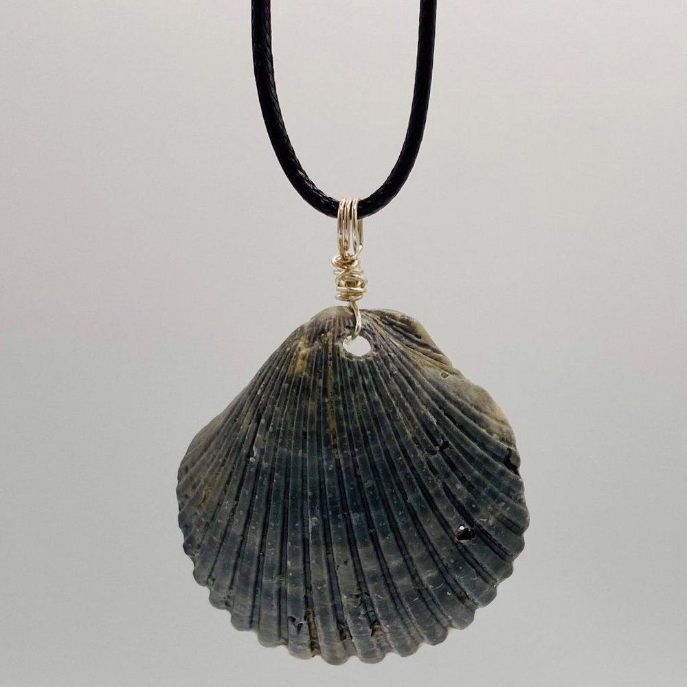 Shell Pendant on 20" Black Cord Necklace; B20-22